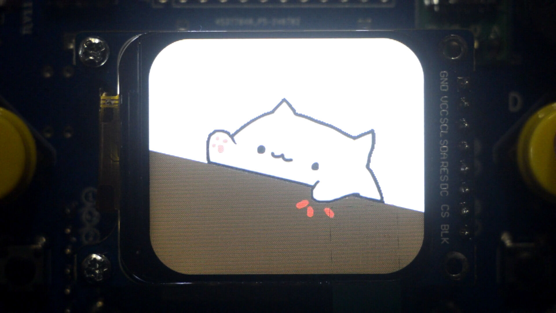 Bongo Cat