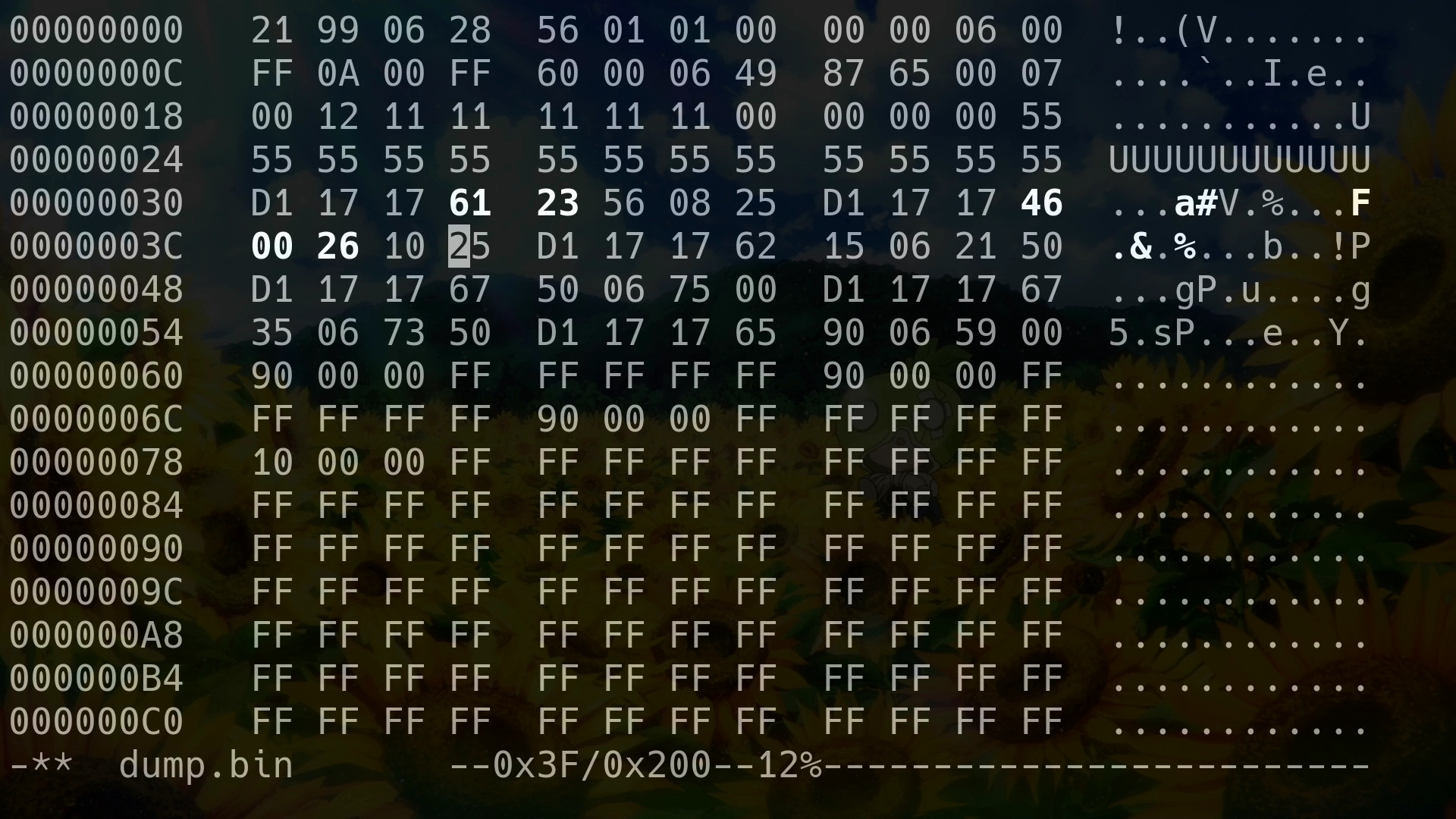 Модифікований дамп