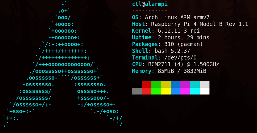 "Arch Linux"
