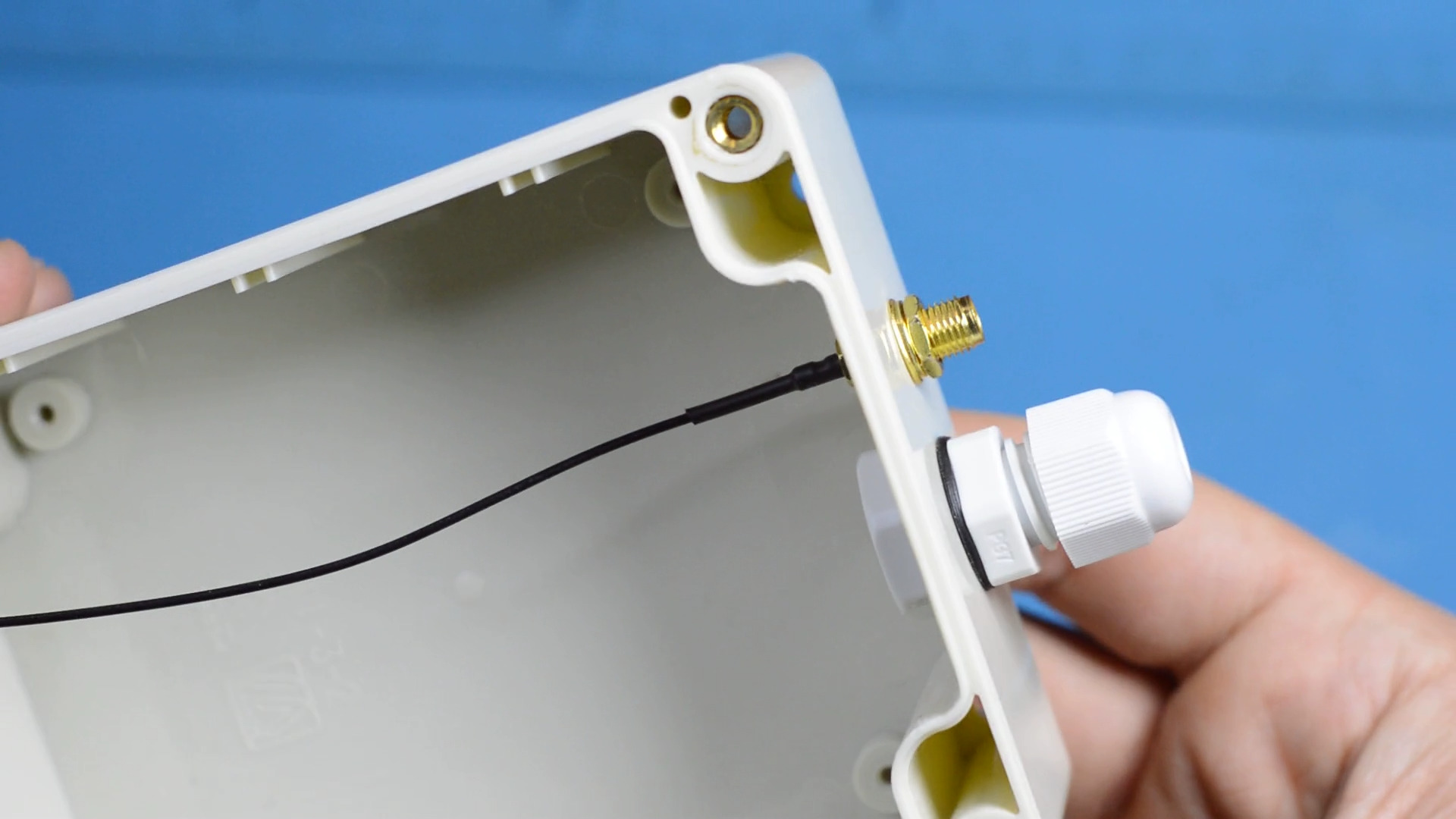 Пігтейл та гермоввід "Пігтейл та гермоввід"